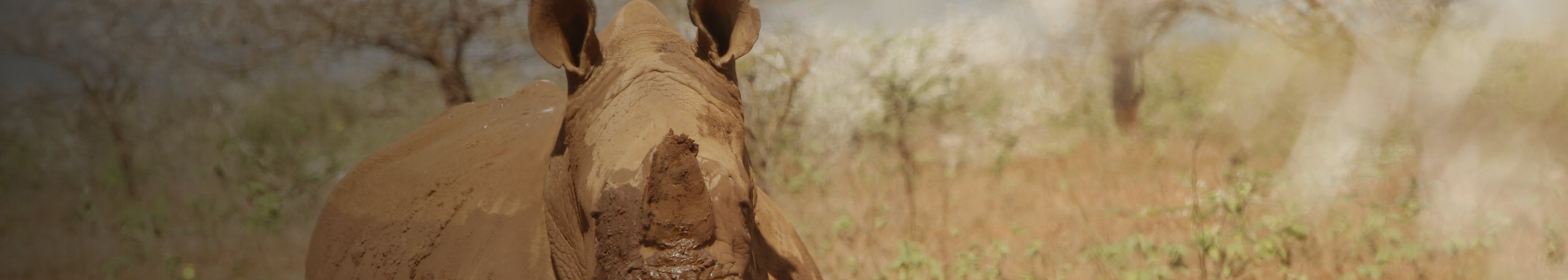 Pace Online case study — Ezemvelo KZN Wildlife