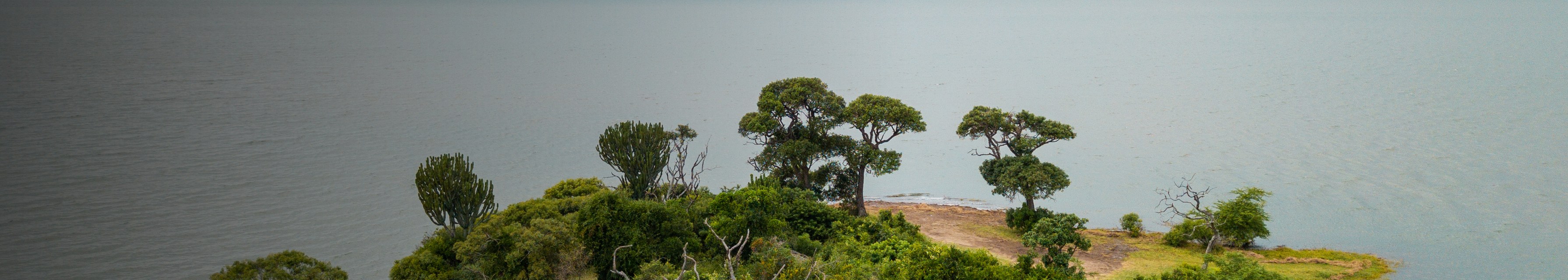 Pace Online case study — iSimangaliso Wetland Park Authority
